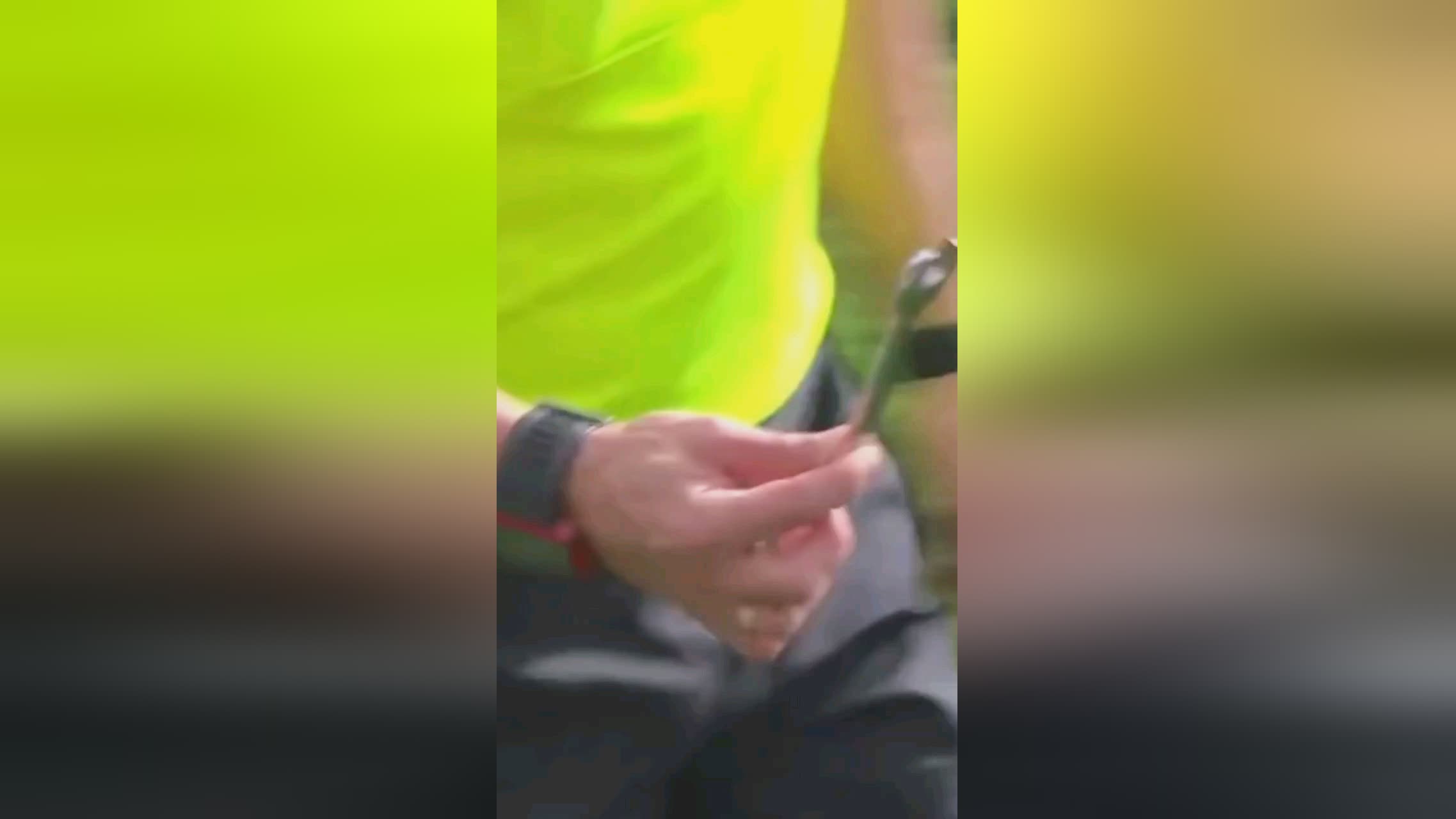 果敢这